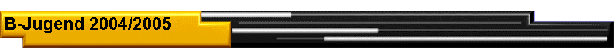 B-Jugend 2004/2005